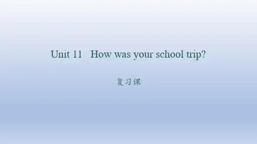 Unit11复习课件人教版英语七年级下册