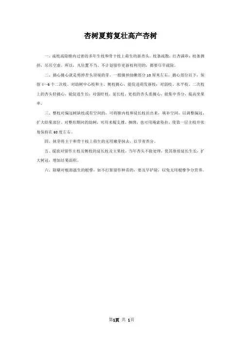 杏树夏剪复壮高产杏树