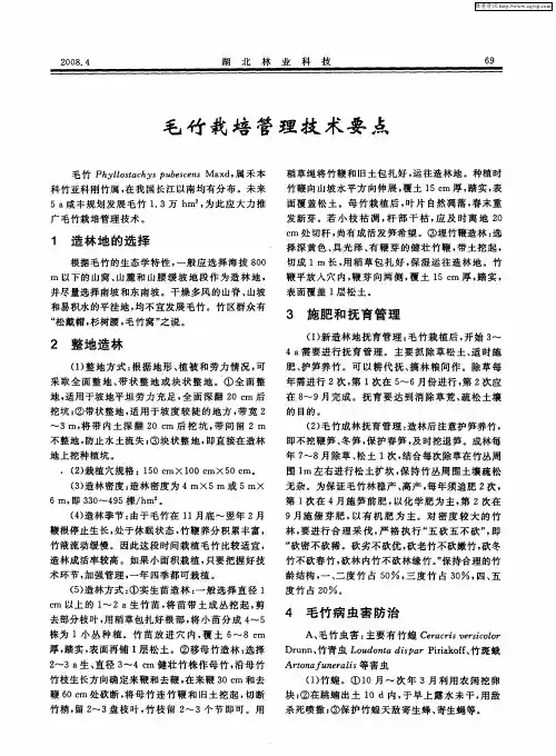 毛竹栽培管理技术要点