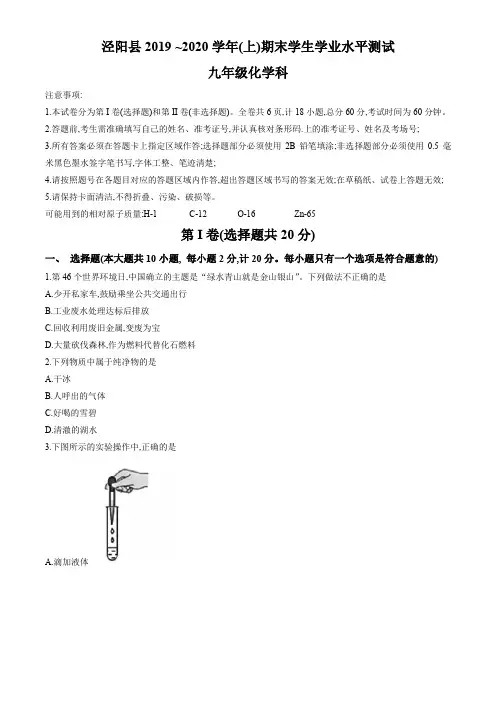 陕西省咸阳市泾阳县2019-2020学年九年级上学期期末学业水平测试化学试题