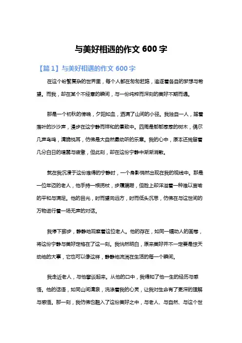 与美好相遇的作文600字