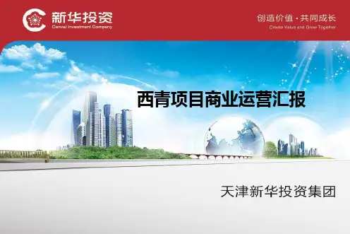 西青项目商业运营汇报方案