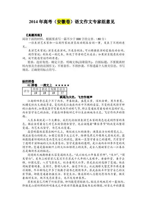 【恒心】2014年高考(安徽卷)语文作文专家组意见(附考场高分作文)