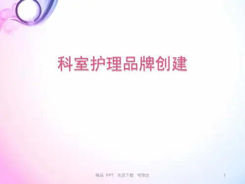 护理品牌建设精品课件