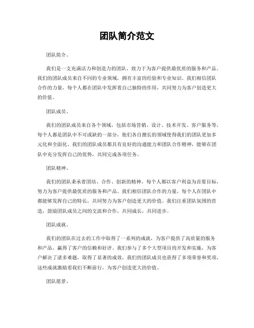 团队简介范文
