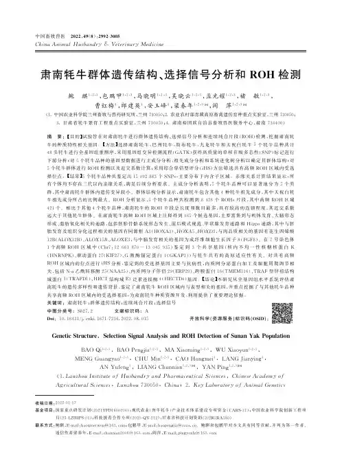 肃南牦牛群体遗传结构、选择信号分析和ROH检测
