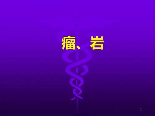 瘤岩PPT课件