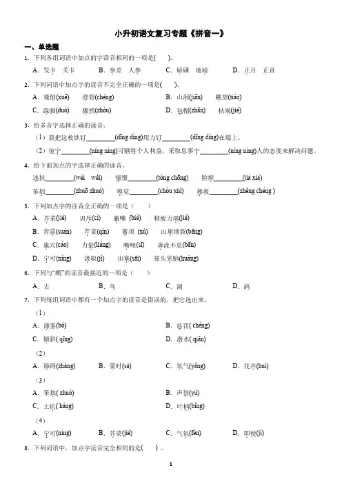 小升初语文复习专题《拼音1》练习及答案