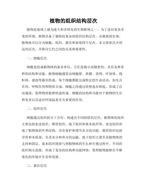 植物的组织结构层次