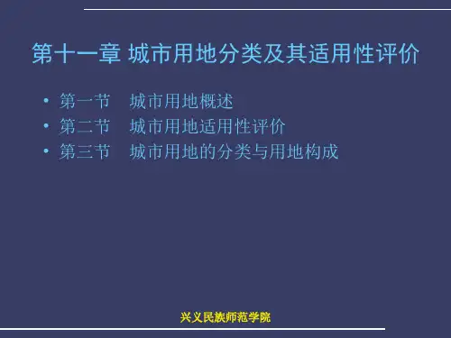 第十一章 城市用地分类及其适用性评价1讲解
