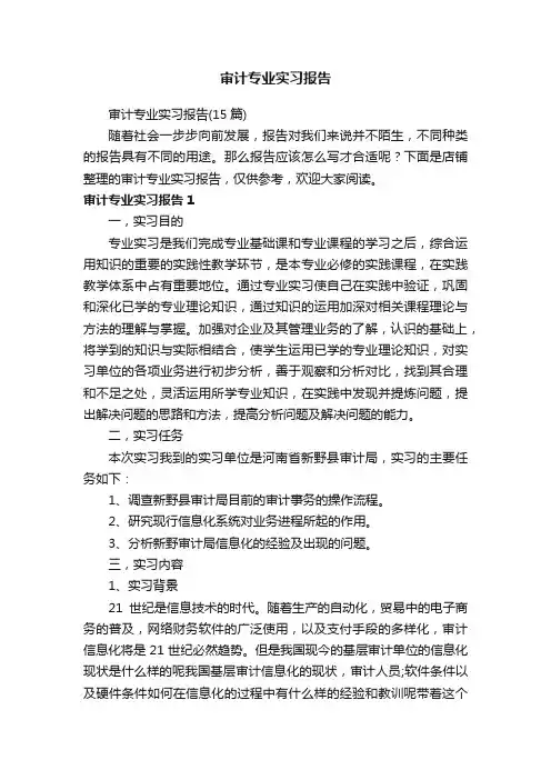审计专业实习报告