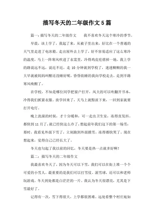 描写冬天的二年级作文5篇