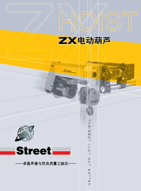 ZX葫芦2010版中文样本