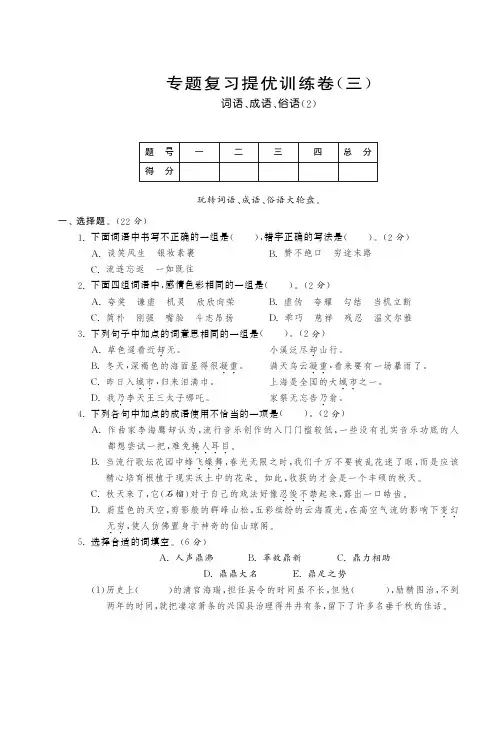 六年级下册语文小升初试题-专题复习提优训练卷(三) 全国通用(PDF版  含答案)