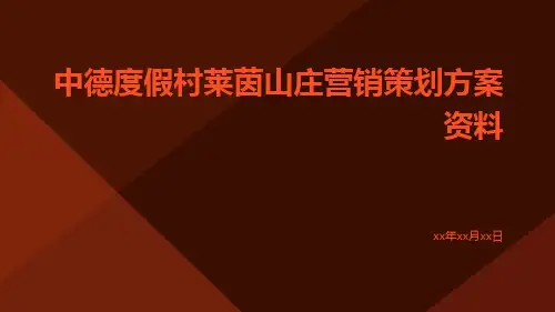 中德度假村莱茵山庄营销策划方案资料
