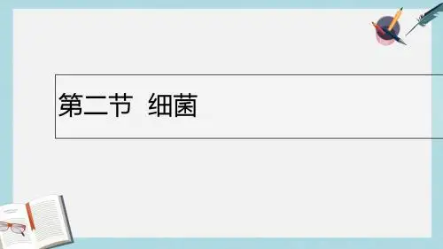 八年级生物上册5.4.2细菌课件新版新人教版