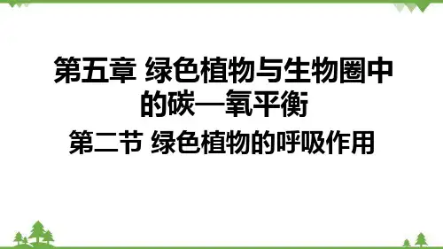 人教版生物七年级上册  绿色植物的呼吸作用课件