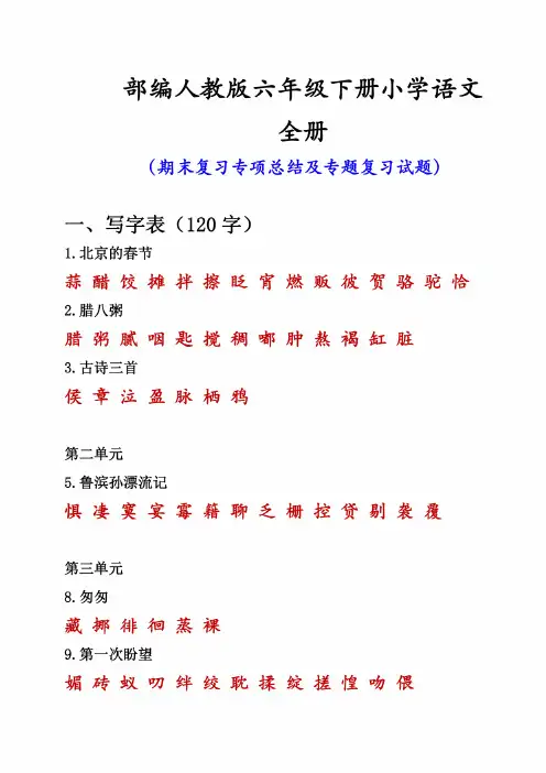 部编版（新教材）六年级下册小学语文全册期末专题复习资料