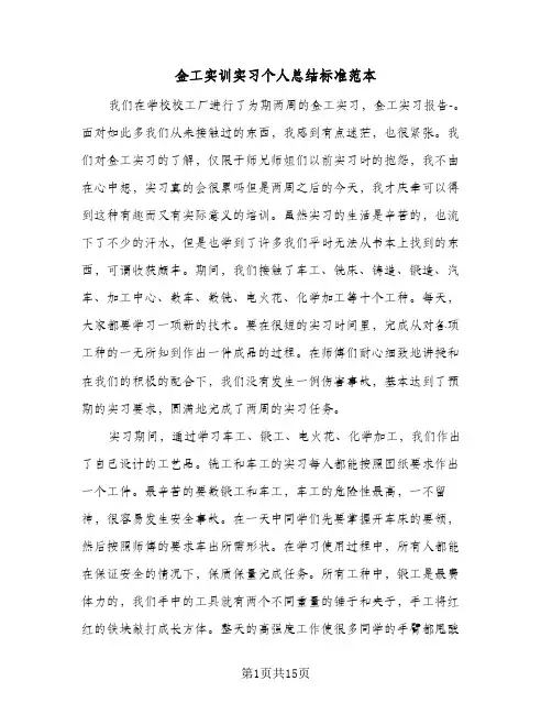 金工实训实习个人总结标准范本（3篇）