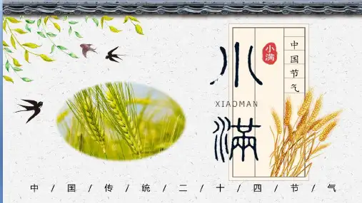 二十四节气：小满PPT模板