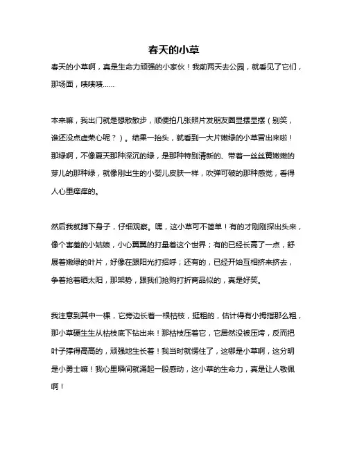 作文《春天的小草》