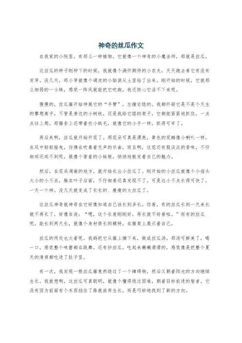 神奇的丝瓜作文
