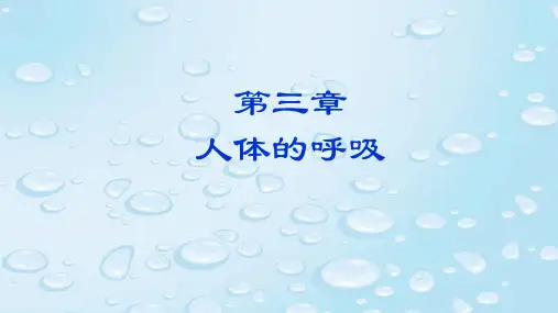 最新人教版七年级生物下册《第4单元 第3章 人体的呼吸》PPT课件 (2)