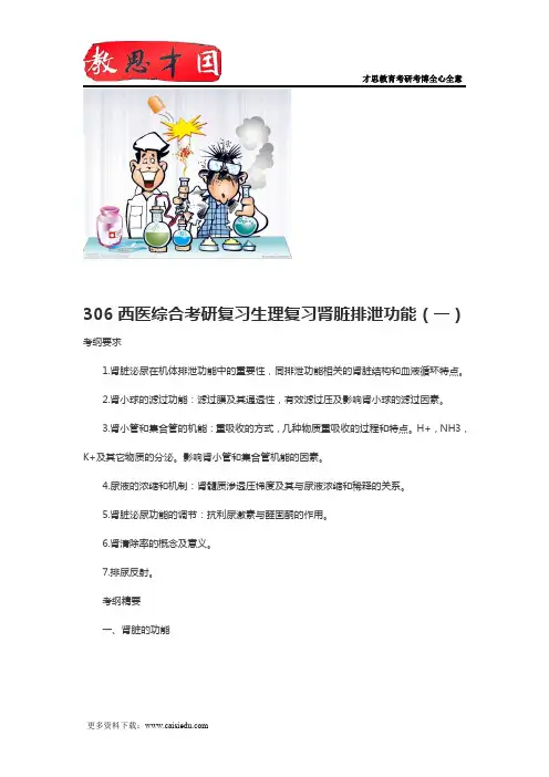 306西医综合考研复习生理复习肾脏排泄功能(一)