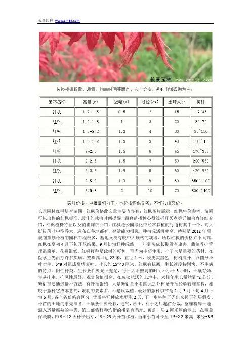 红枫价格
