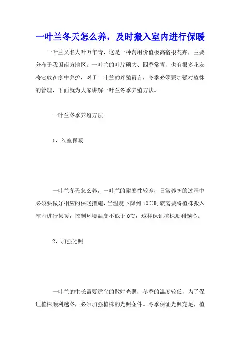 一叶兰冬天怎么养,及时搬入室内进行保暖