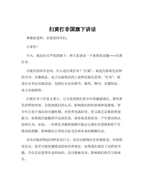 扫黄打非国旗下讲话