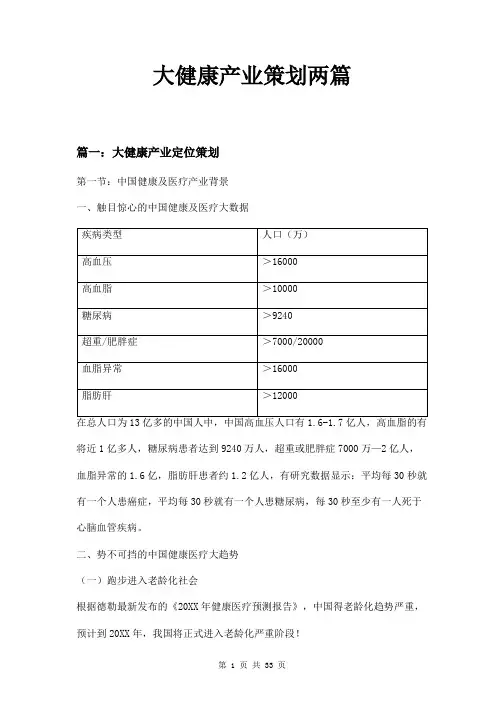 大健康产业策划两篇