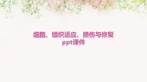 细胞、组织适应、损伤与修复PPT课件