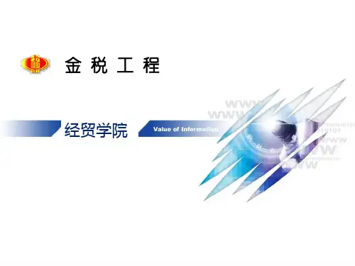 第5章 金税工程..
