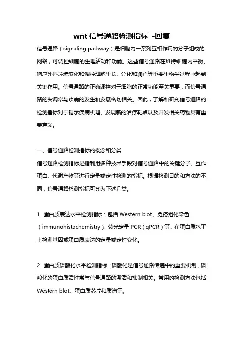 wnt信号通路检测指标 -回复