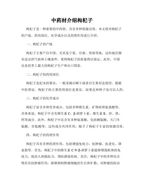 中药材介绍枸杞子