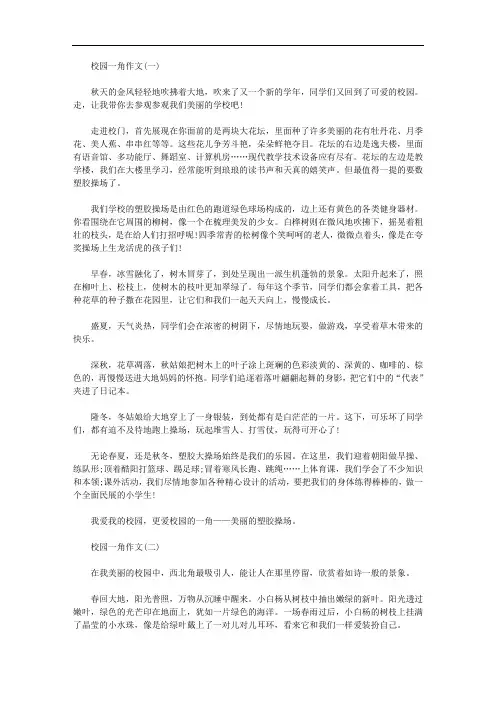 校园一角800字精选作文精华篇五篇