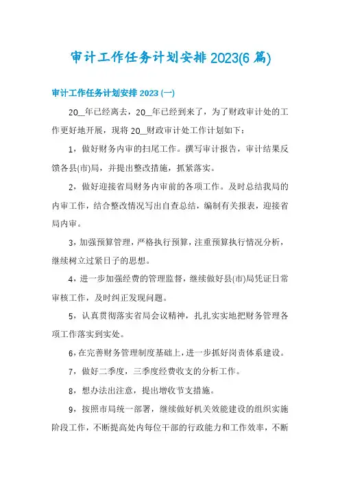 审计工作任务计划安排2023(6篇)