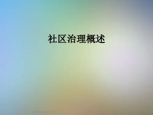社区治理概述