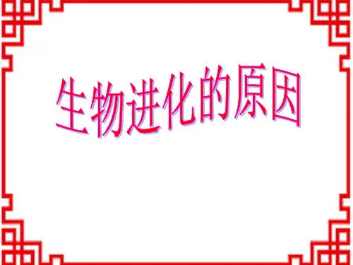 苏科版初中八年级下册生物精品教学课件《第七单元第23章 第3节 生物进化的原因》PPT课件 (13)