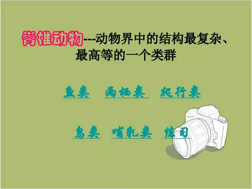 初中生物八年级下第7单元 生命的演化第22章 物种的多样性第4节脊椎动物(三)(四)