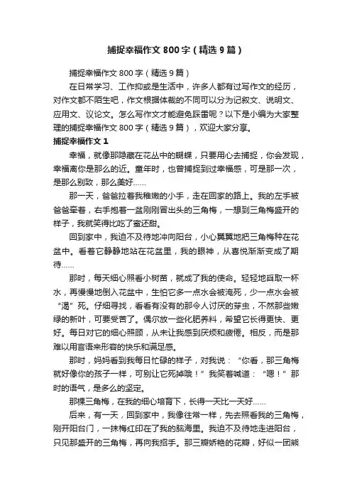 捕捉幸福作文800字（精选9篇）
