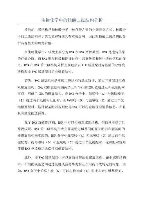 生物化学中的核酸二级结构分析
