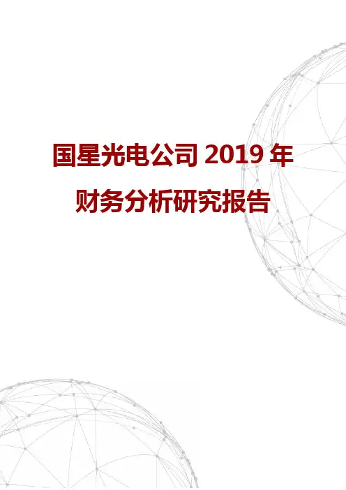 国星光电公司2019年财务分析研究报告
