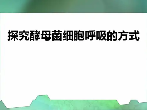 (M)探究酵母菌的呼吸方式和液滴移动问题ppt