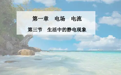 高中物理 第一章 第三节 生活中的静电现象课件 新人教版选修1-1(两篇)