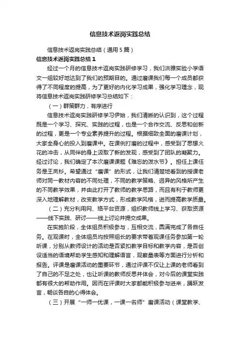 信息技术返岗实践总结