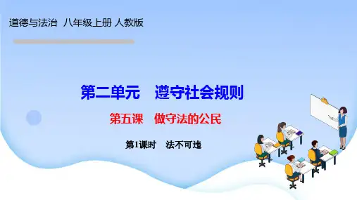 人教版八年级道德与法治上册作业课件 第二单元 遵守社会规则 第五课 做守法的公民 第1课时 法不可违