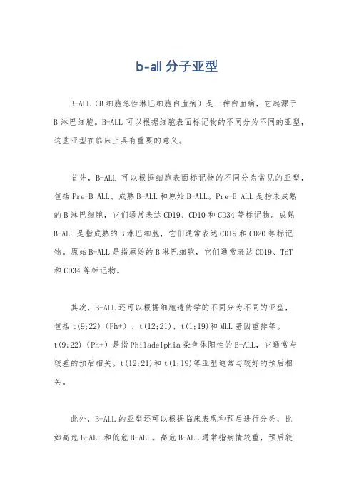 b-all 分子亚型