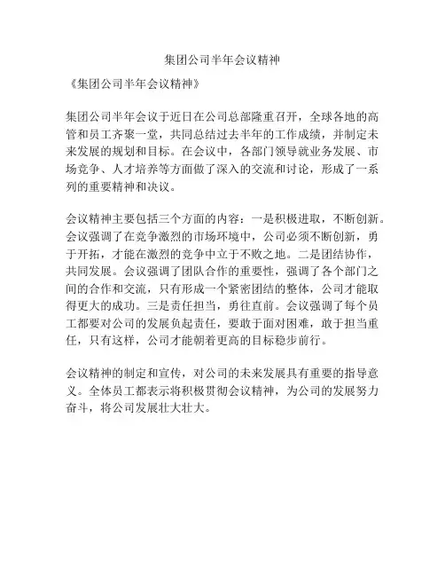 集团公司半年会议精神